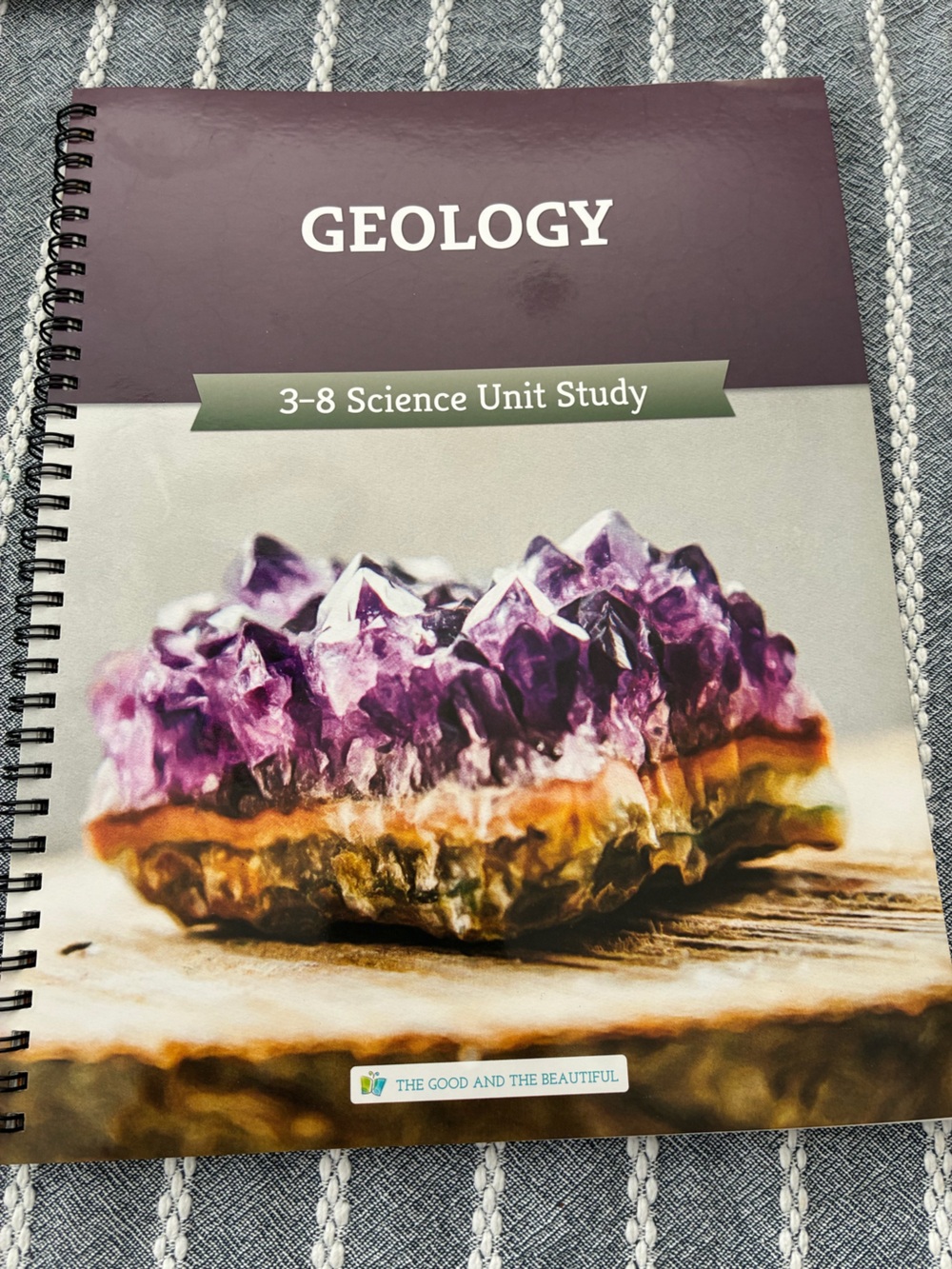 The Good and the Beautiful Science Instructor Course Book - Geology